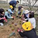 흥천초등학교 이미지
