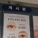 아이래쉬 박스