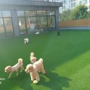 우다다 유치원 이미지