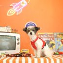 위드티쳐 이미지