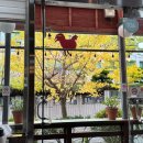 디카페(DCafe)