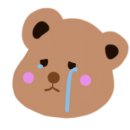 오렌지 애견카페 이미지