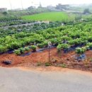 호곡리 쉼터 이미지