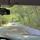 서포비치 이미지