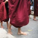 샹그릴라 이미지