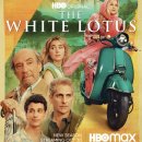 화이트 시즌 이미지