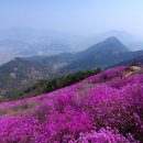 4월15일 창원천주산 산행안내 이미지