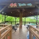 산삼꽃피는마을 | 서울 근교 가볼만한 곳 촌캉스 펜션 친구들 여행 내돈내산 안성 산삼꽃피는마을!