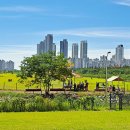 송도 달빛공원 인천송도파크골프장 이미지