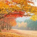 집가기전 - 화성시 | 집가기전