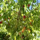 보성은하유치원 이미지