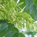 소백한의원 이미지