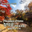 애련정 | 오늘(9일) 다녀온 &#39;창덕궁 및 후원&#39; 실시간 후기