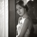 달빛PC 이미지