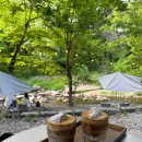 오후에테라스 | [용인 고기리 카페] 테라스 478 평일 오후 방문 후기, 시그니처 크림라떼와 계곡 물멍 힐링