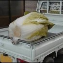 엄청큰
