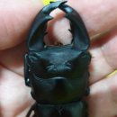 (주)운우 이미지