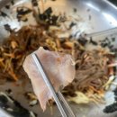 홍대마야족발 네이버블로그