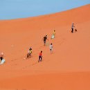 최성기농장 이미지