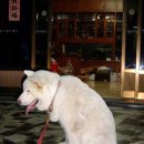 복 이미지