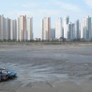 만조자연산횟집 이미지