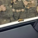 14코스 | 제주 올레길 14-1코스 동행 후기｜백서향 향기 가득했던 봄 올레길 트레킹