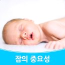 디로드 이미지