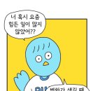 저스트스윔 이미지
