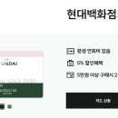 현대르메르 이미지