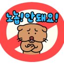 큰누리 이미지