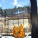 고흥읍 고흥로 | 고흥 대형카페 아이동반 추천｜고템커피 내돈내산 후기