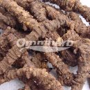 뿌리한약국 이미지