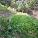 금문농장2 이미지