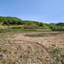 호재농장 이미지