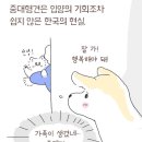 러빙펫