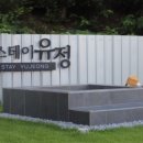 춘천유정펜션 네이버블로그