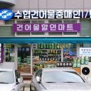 완도17호 이미지