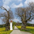 시간을 즐기다 이미지