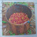 연수제일내과의원 이미지