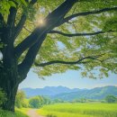 청룡식당 이미지