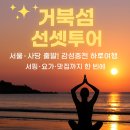 안산시티투어 정기코스(대부권) | 여름엔 바다로! 서울·사당 출발 ‘거북섬 바다레포츠 시티투어’