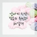 창문동물병원 이미지