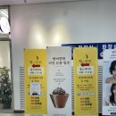 [빵의향현 다산점] 작고 귀여운 비건 빵가게