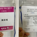 대전펫츠 이미지