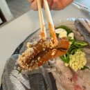 공차 부산송도점 | 부산 송도 회포장 맛집 <회썰> 활어 모듬회 포장 후기