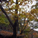 자연가든 이미지