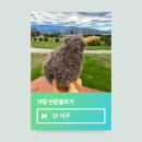 타임도시디자인 주식회사 | [공지] 26년 6월 해외여행 인플루언서 선정 독학 한번에 합격 후기 꿀팁 공유