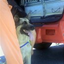 금장2리 이미지