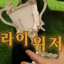싸인이스케이프 - 강남구 강남대로94길 67 | 싸인이스케이프