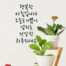 고운빛